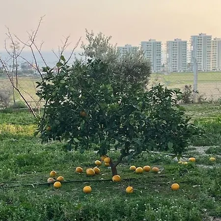 Appartement Mountains And Sea Boghaz