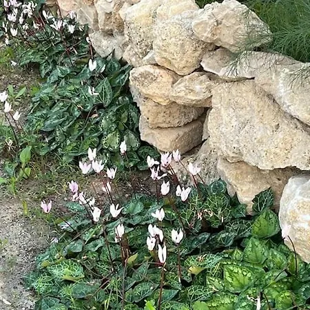 Mountains And Sea Boghaz