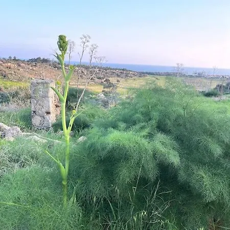Mountains And Sea * Boghaz