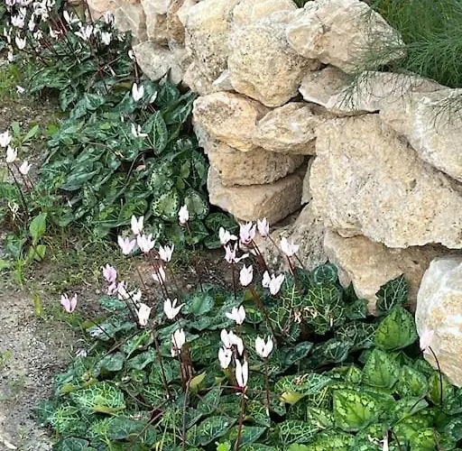 Mountains And Sea Boghaz