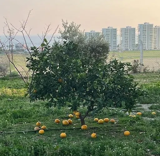 Apartament Mountains And Sea Boghaz